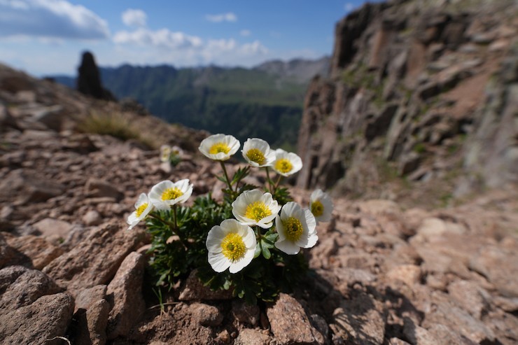 Sony announces world's smallest and lightest wide-angle zoom lens Picture 2