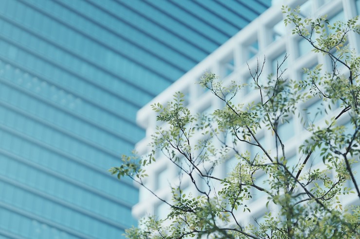 Sony introduces FE 85mm F1.4 GM II lens with super fast focus Picture 2