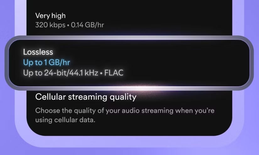 Spotify Launches Lossless Hi-res Audio Plan Picture 1