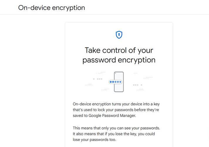 Stop saving passwords in your browser! Picture 2