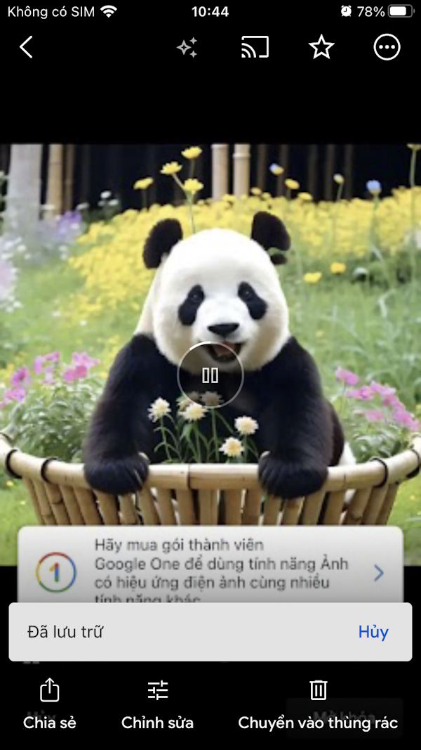 What is the Google Photos storage feature? Picture 4