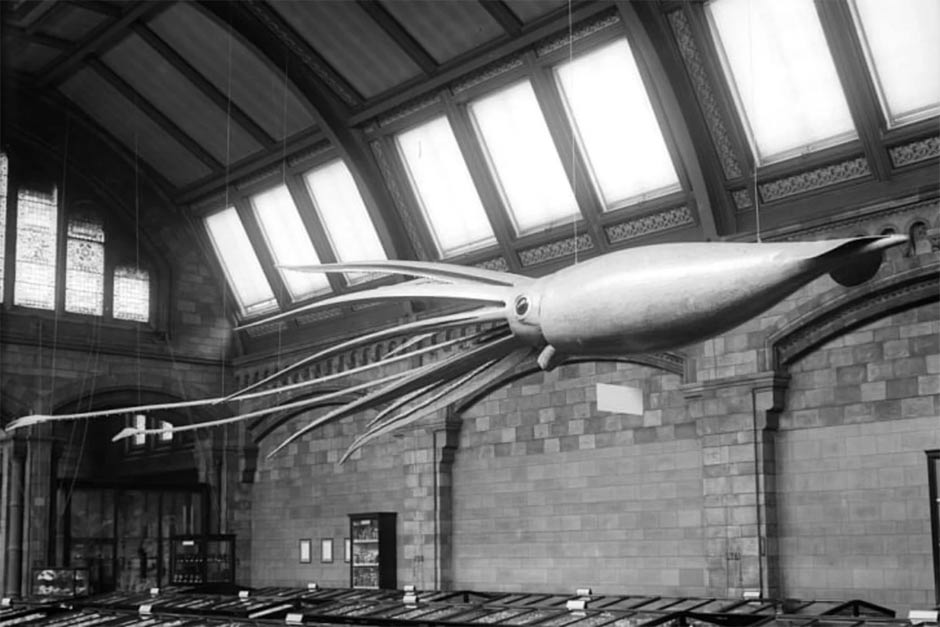 The strangest maritime mysteries, still unsolved Picture 3