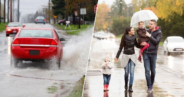 Strange traffic laws around the world Picture 7