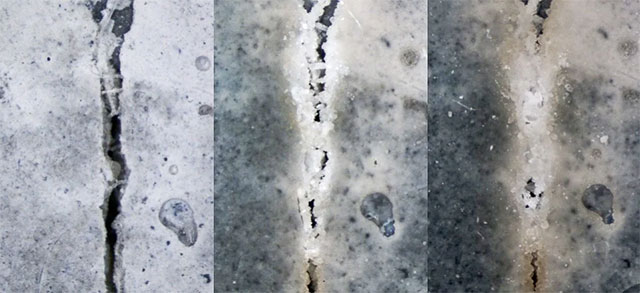 Successfully created 'living' concrete that can heal cracks by itself Picture 1