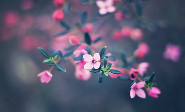 Picture 10 of Super beautiful computer and phone lock screen images.