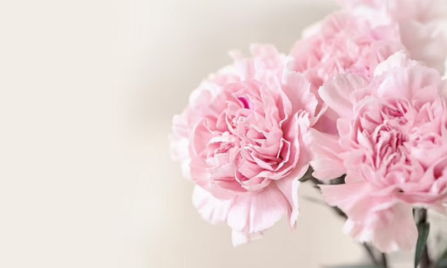 Picture 12 of Super beautiful computer and phone lock screen images.