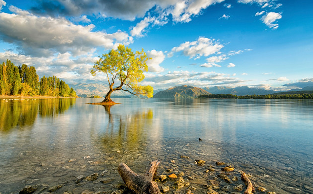 Picture 14 of Super beautiful computer and phone lock screen images.