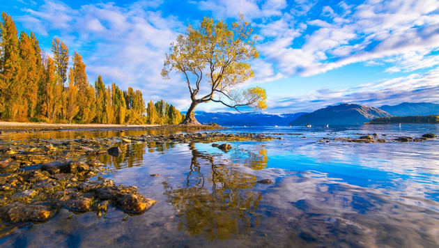 Picture 15 of Super beautiful computer and phone lock screen images.