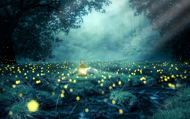 Picture 17 of Super beautiful computer and phone lock screen images.