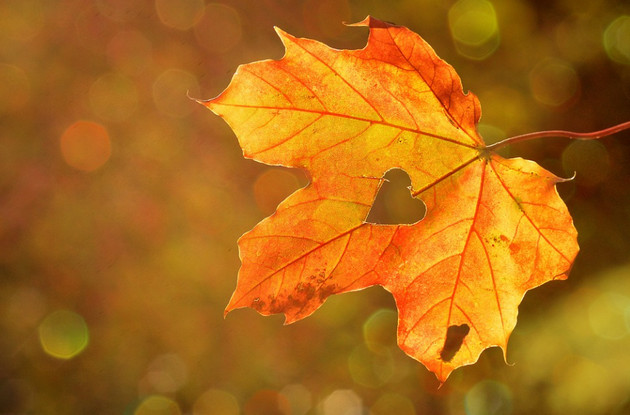 Picture 21 of Super beautiful computer and phone lock screen images.