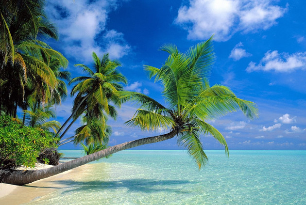 Picture 23 of Super beautiful computer and phone lock screen images.