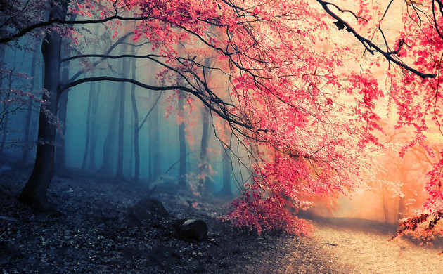 Picture 24 of Super beautiful computer and phone lock screen images.