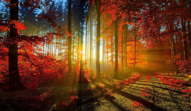 Picture 26 of Super beautiful computer and phone lock screen images.