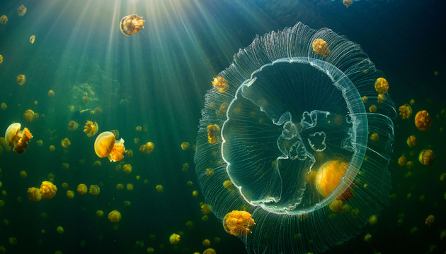 Picture 34 of Super beautiful computer and phone lock screen images.