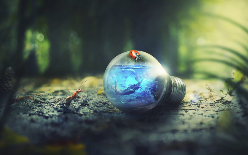 Picture 7 of Super beautiful computer and phone lock screen images.