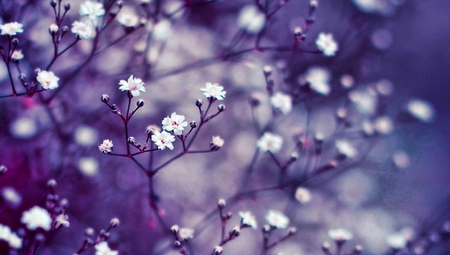 Picture 9 of Super beautiful computer and phone lock screen images.