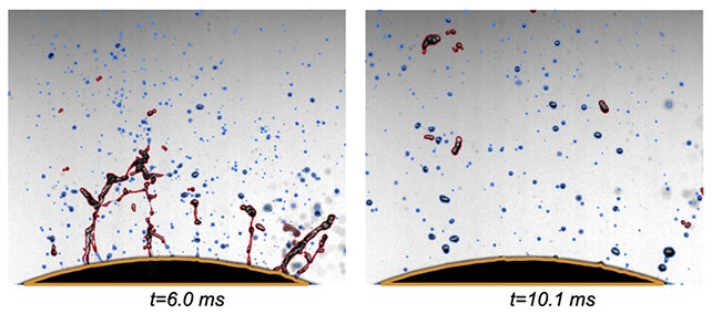 Surprised with an extremely simple way to help you cut onions without tearing up your eyes Picture 2