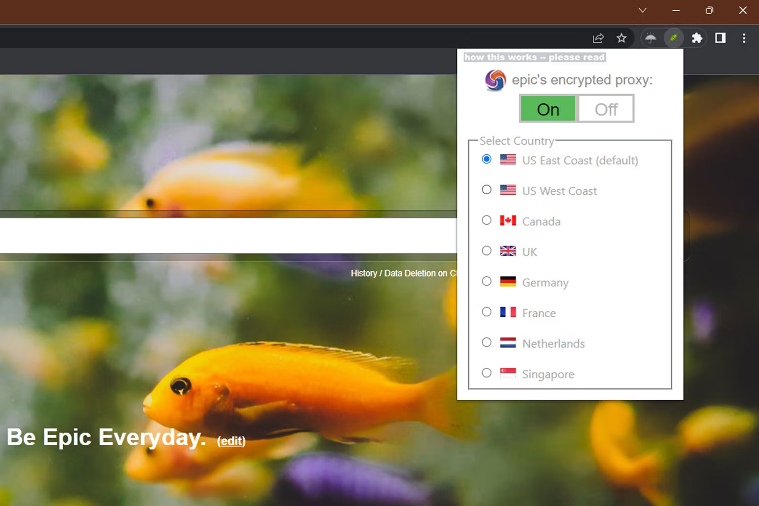 The 3 best browsers with built-in VPN for Mac and Windows Picture 2