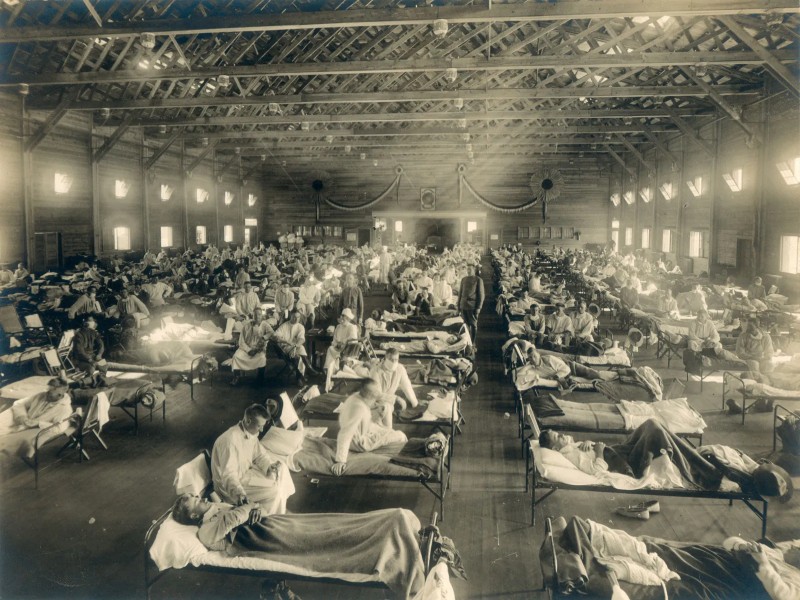 The 3 most severe influenza pandemics of the 20th century Picture 5