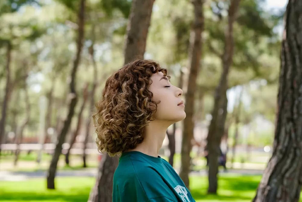 The Art of Outdoor Hiking: How to Use Nature to Recharge Your Energy Effectively Picture 2