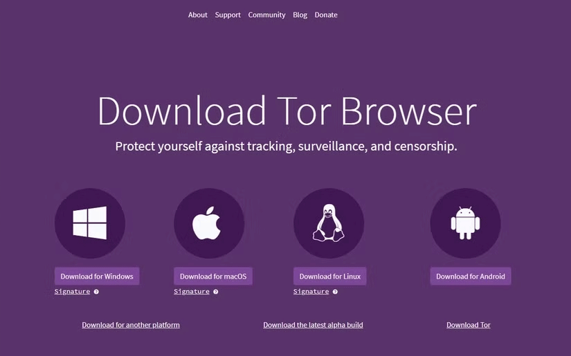 The Dark Web is not illegal, but be wary of these 7 things! Picture 1