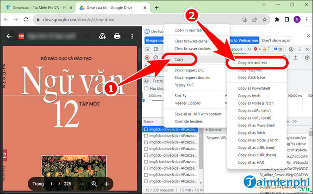The easiest way to download Google Drive files that are blocked from downloading Picture 5