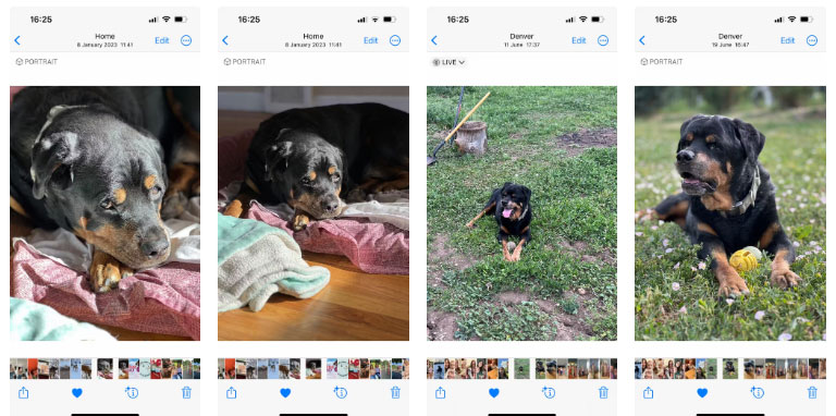 The easiest way to start digital painting Picture 2