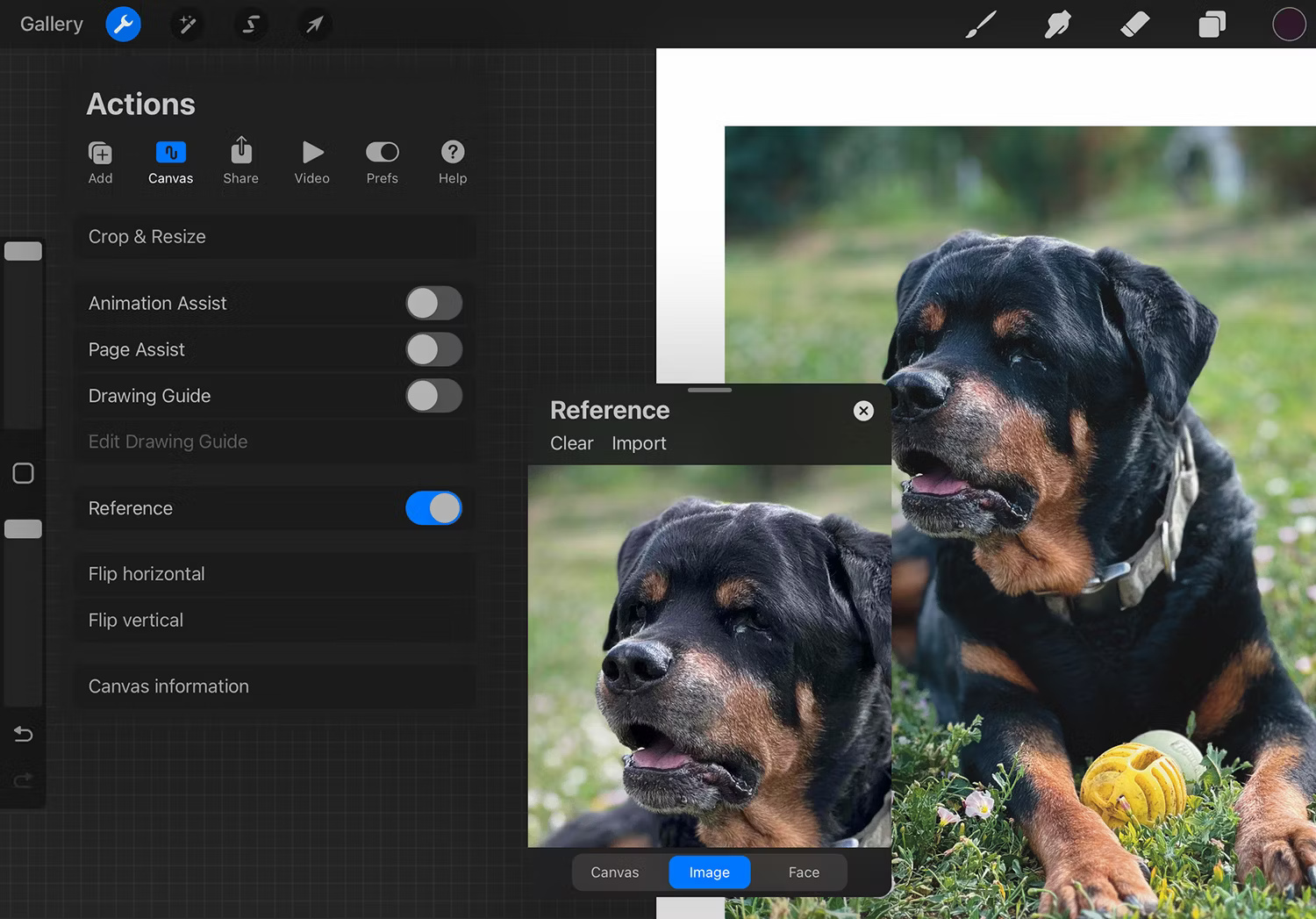 The easiest way to start digital painting Picture 3