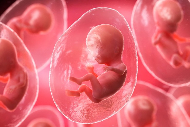 The first baby born through AI-assisted conception Picture 1