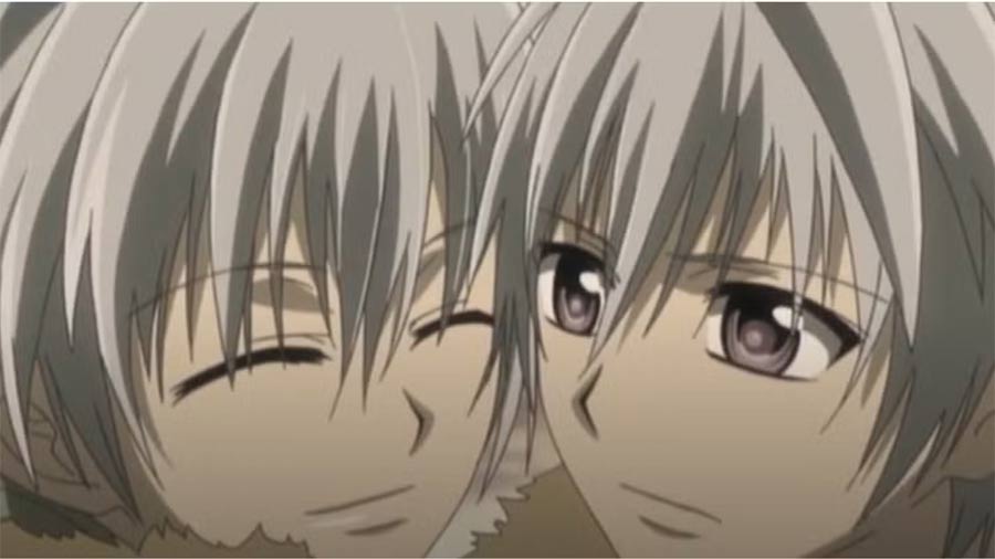 The most famous twins in the anime world Picture 3