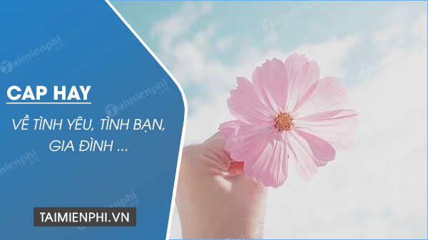 Picture 1 of The most liked captions/status updates for Facebook and stories.