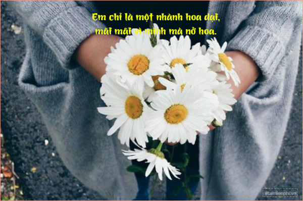 Picture 7 of The most liked captions/status updates for Facebook and stories.