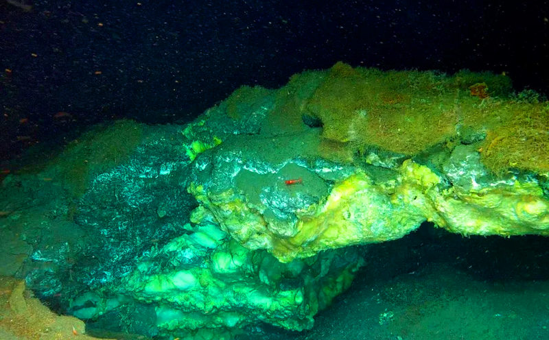 A mysterious ecosystem has been discovered at a depth of over 3km beneath the Arctic Ocean. Picture 1