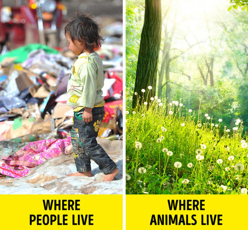 The series of photos shows just how cruel humanity has been to the Earth and to themselves. Picture 1