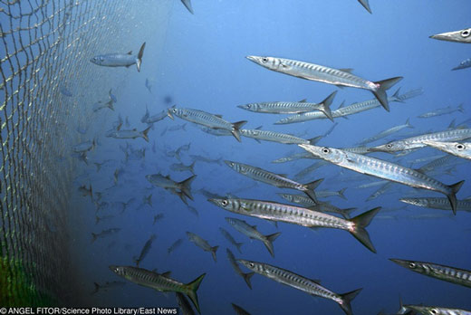 The series of photos shows just how cruel humanity has been to the Earth and to themselves. Picture 3