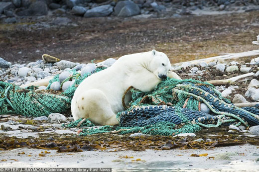 The series of photos shows just how cruel humanity has been to the Earth and to themselves. Picture 5