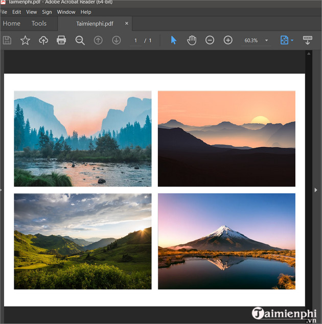 Picture 10 of The simplest and most effective way to combine photos into a PDF file.