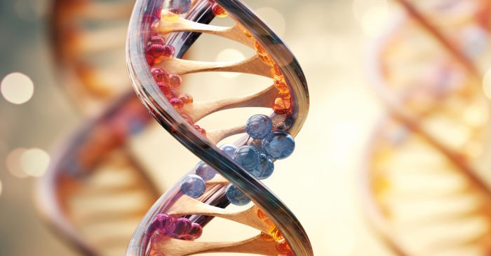 Surprising things scientists create from DNA Picture 1