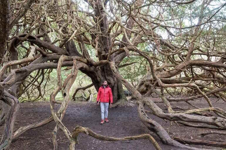 The world's strangest landscapes Picture 1