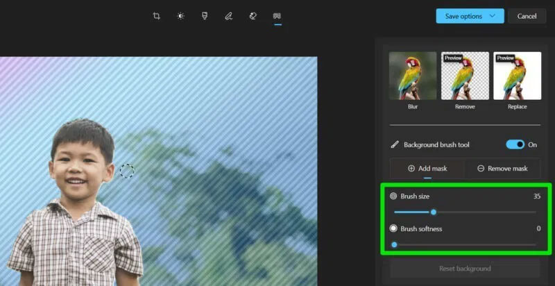 These advanced features make the Windows Photos app incredibly useful. Picture 5