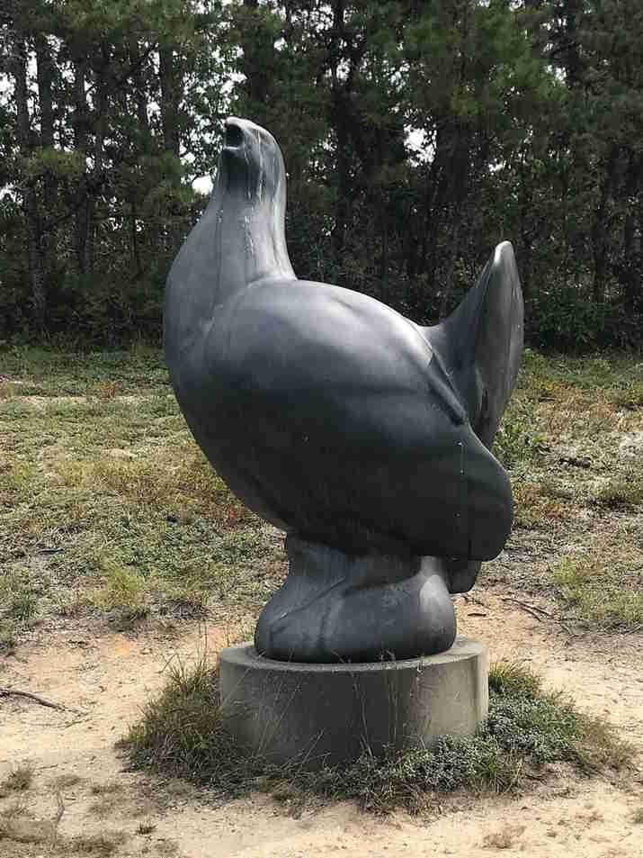 These are the last individuals of a species now extinct in the world. Picture 1