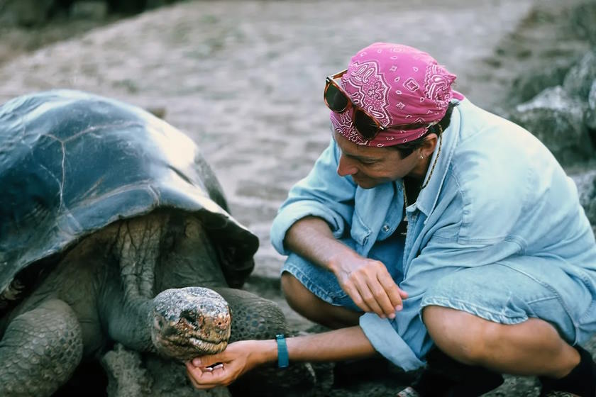 These are the last individuals of a species now extinct in the world. Picture 5