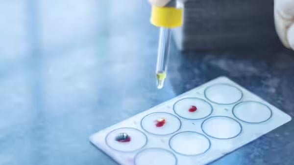 What you need to know about the new blood type: Gwada negative Picture 2