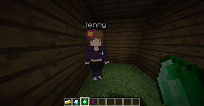 images 2 of Things you need to know about Jenny Mod Minecraft