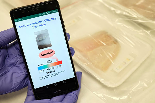 This AI device can 'sniff out' poor-quality meat. Picture 1