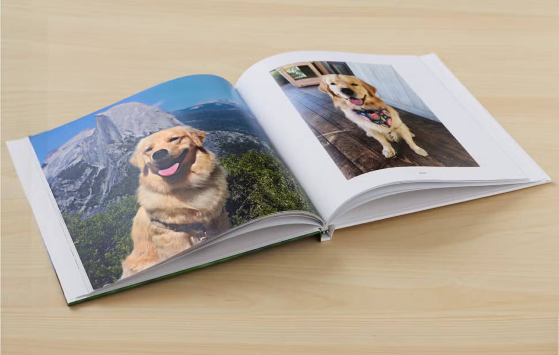 This lesser-known feature of Google Photos is ideal for preserving memories. Picture 2