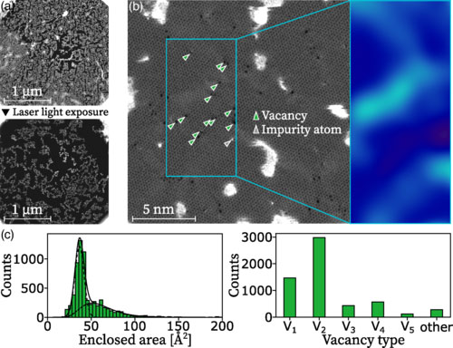 This 'wonder material' can be bent in unprecedented ways Picture 1