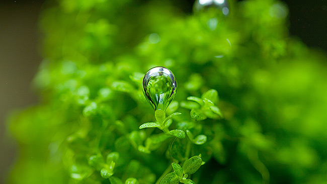 Picture 3 of Thought-provoking questions about the value of life.