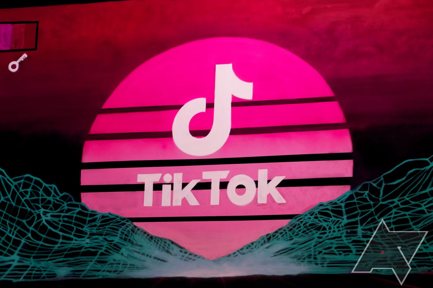 TikTok seeks to fight the app ban in the US Picture 1
