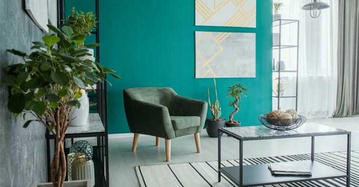 Tips for designing indoor plants to make your living space more beautiful. Picture 1